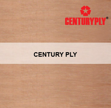 CENTURY PLY