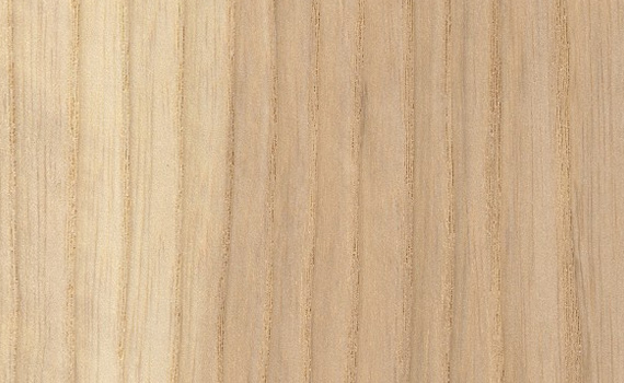 White Ash